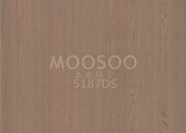 Panel de pared rústico de olmo blanco: elegancia atemporal con funcionalidad moderna